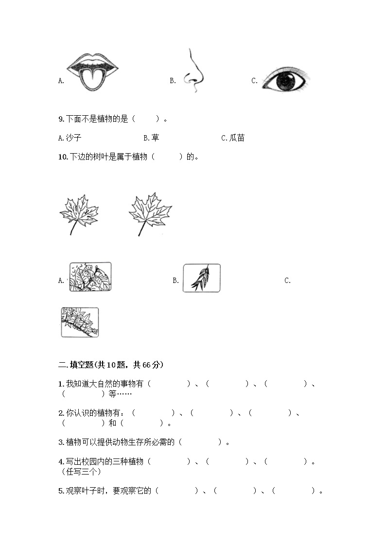 新教科版科学一年级上册第一单元 植物 测试卷【精品】 (2)03