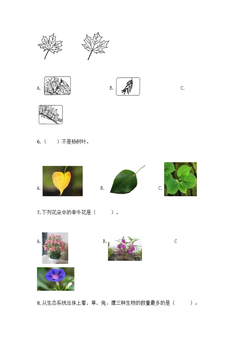 新教科版科学一年级上册第一单元《植物》测试卷【名师推荐】 (4)02