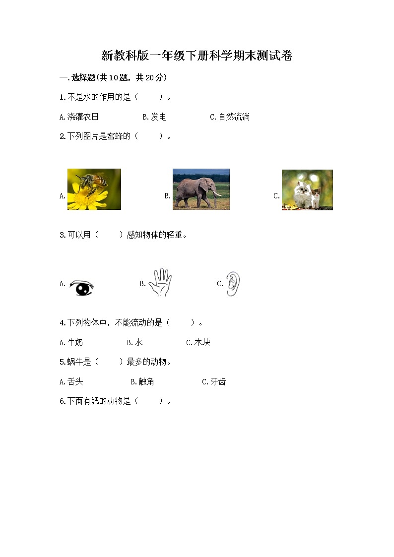 新教科版一年级下册科学期末测试卷附完整答案（网校专用）第1页