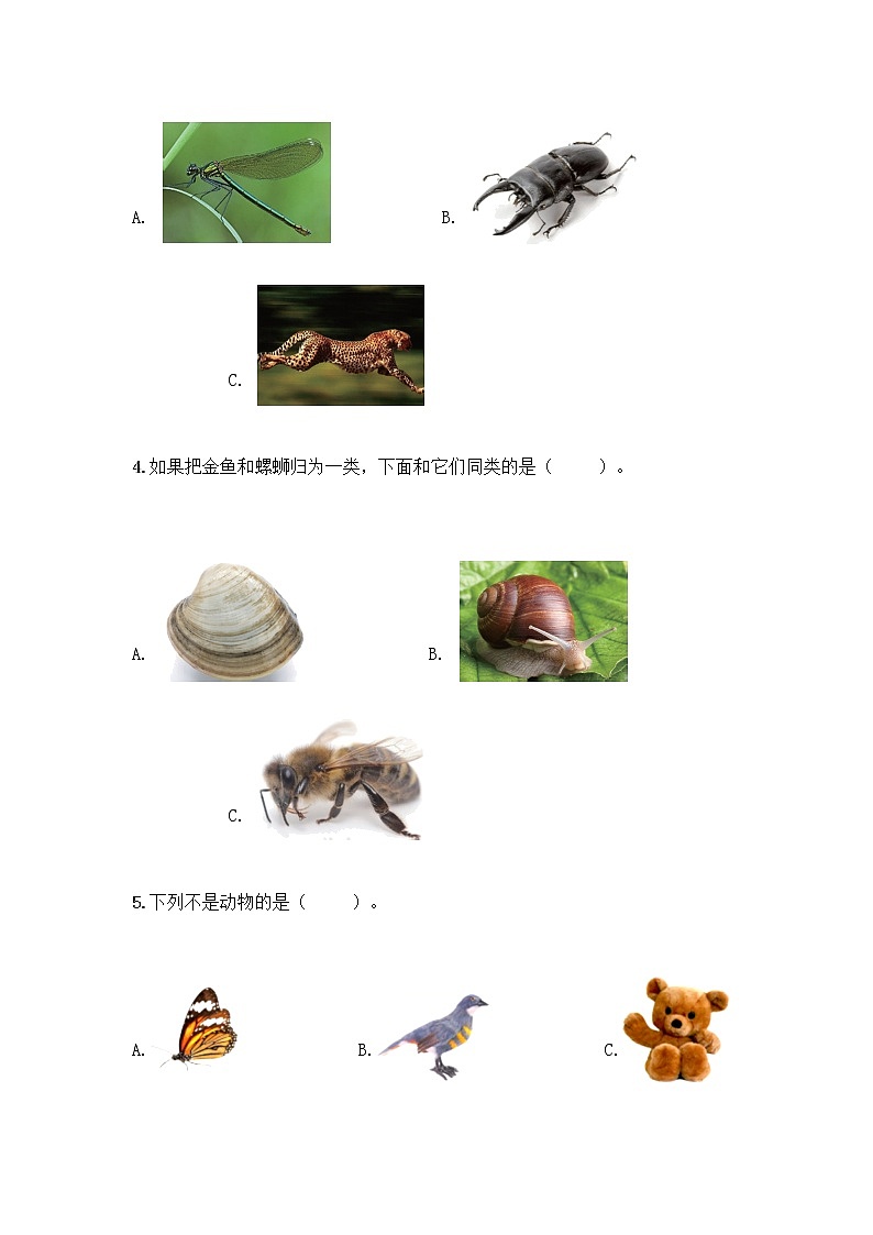 新教科版一年级下册科学期末测试卷附完整答案【夺冠系列】第2页