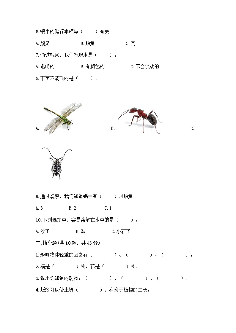 新教科版一年级下册科学期末测试卷附完整答案【夺冠系列】第3页