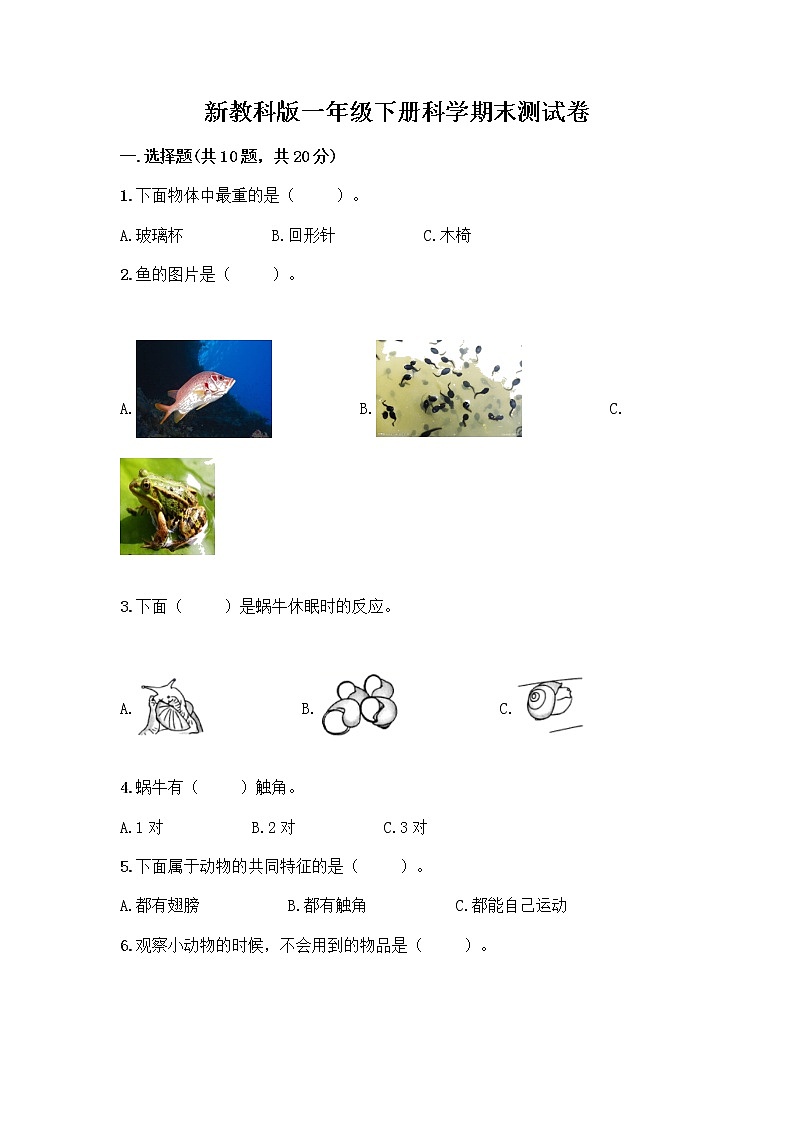 新教科版一年级下册科学期末测试卷附参考答案【基础题】第1页