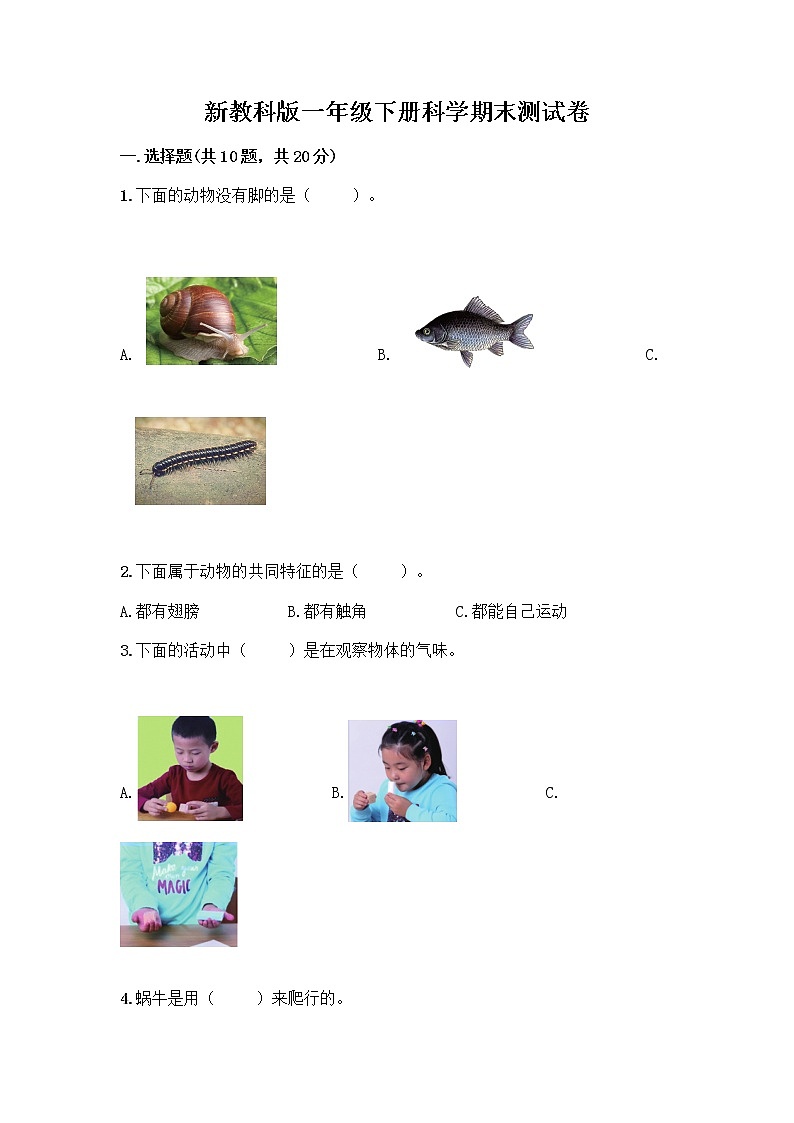 新教科版一年级下册科学期末测试卷及完整答案【精选题】第1页