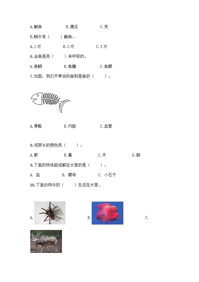 新教科版一年级下册科学期末测试卷及完整答案【精选题】第2页