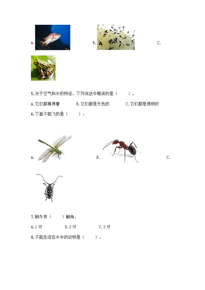 新教科版一年级下册科学期末测试卷含完整答案（名师系列）第2页