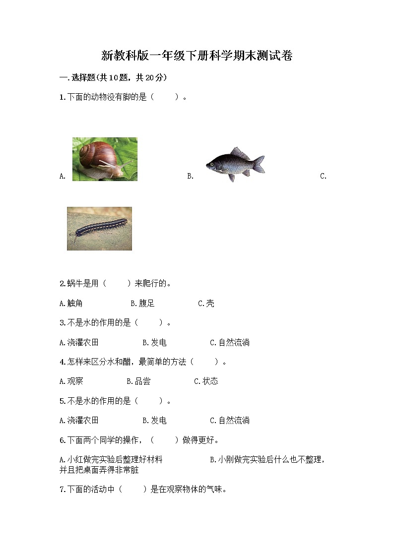 新教科版一年级下册科学期末测试卷及完整答案【考点梳理】第1页