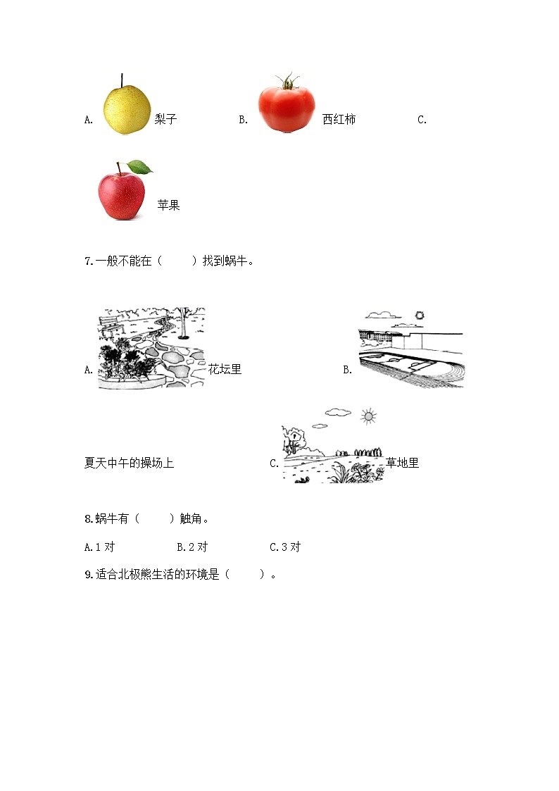 新教科版一年级下册科学期末测试卷附完整答案【精品】第2页