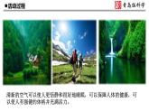 11.《让空气更清新》教学课件