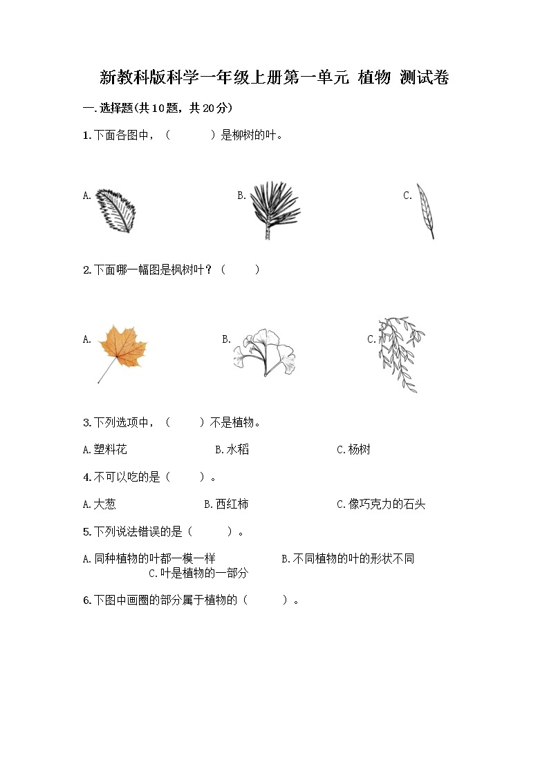 新教科版科学一年级上册第一单元 植物 测试卷及答案【最新】01