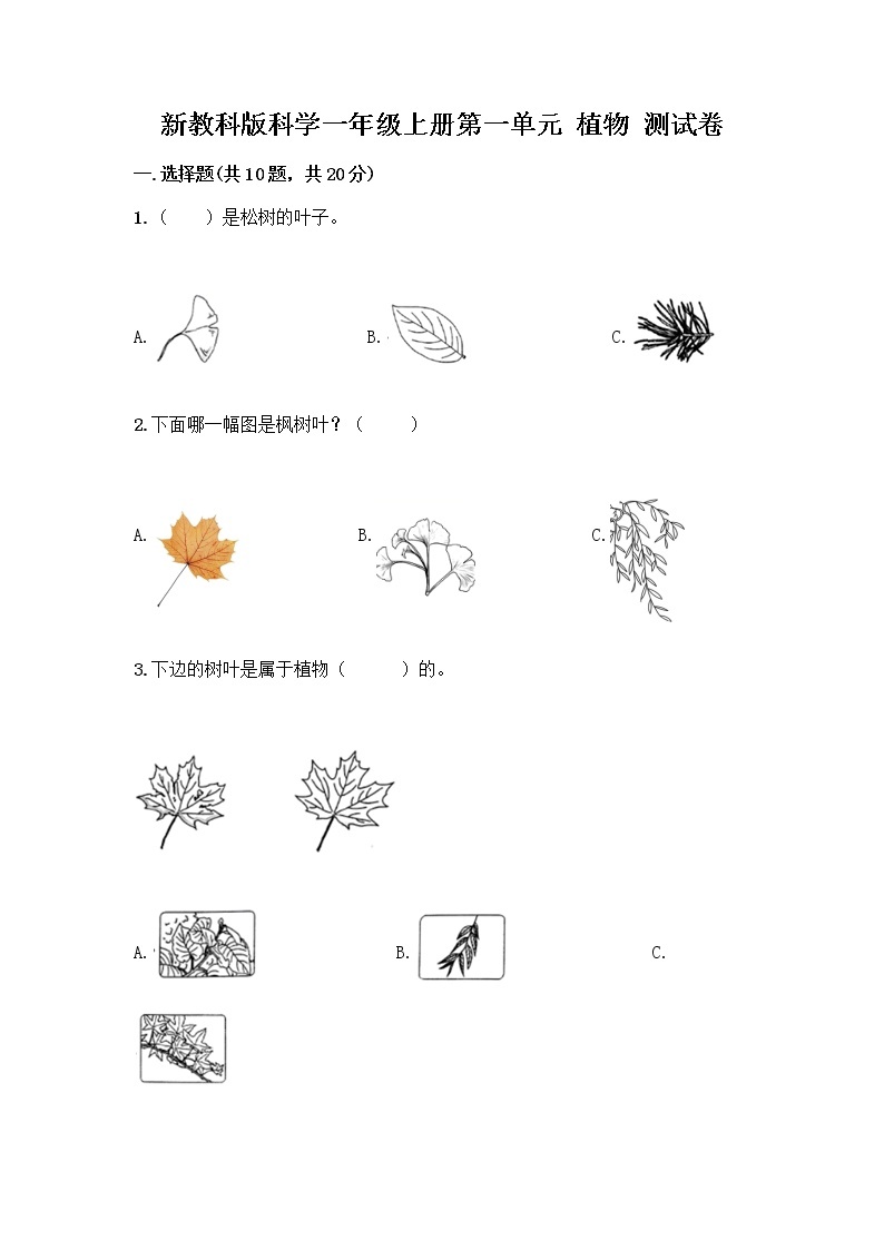 新教科版科学一年级上册第一单元 植物 测试卷附参考答案（满分必刷）01