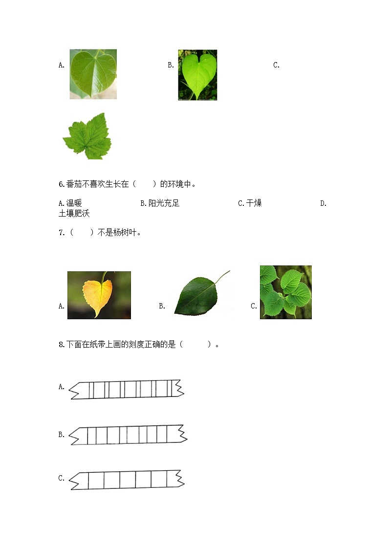 新教科版科学一年级上册第一单元《植物》测试卷及答案【新】第2页