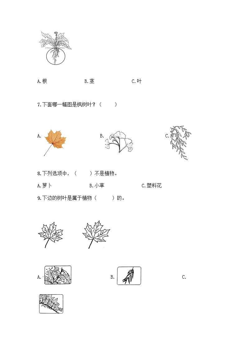 新教科版科学一年级上册第一单元 植物 测试卷精品（突破训练） (4)02
