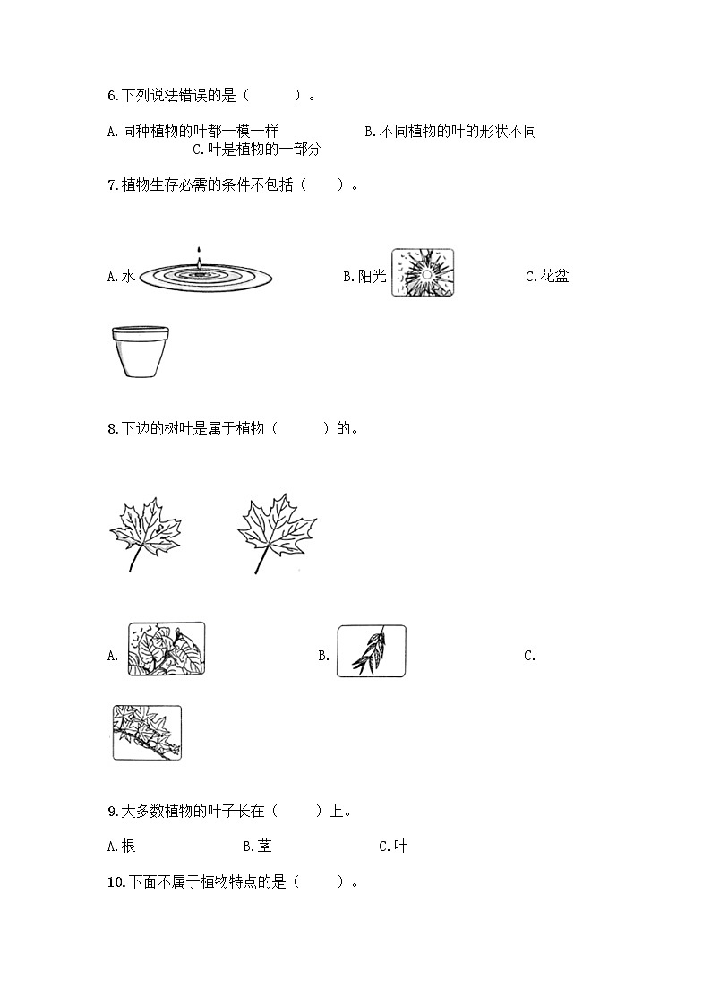 新教科版科学一年级上册第一单元《植物》测试卷精品（含答案） (2)02