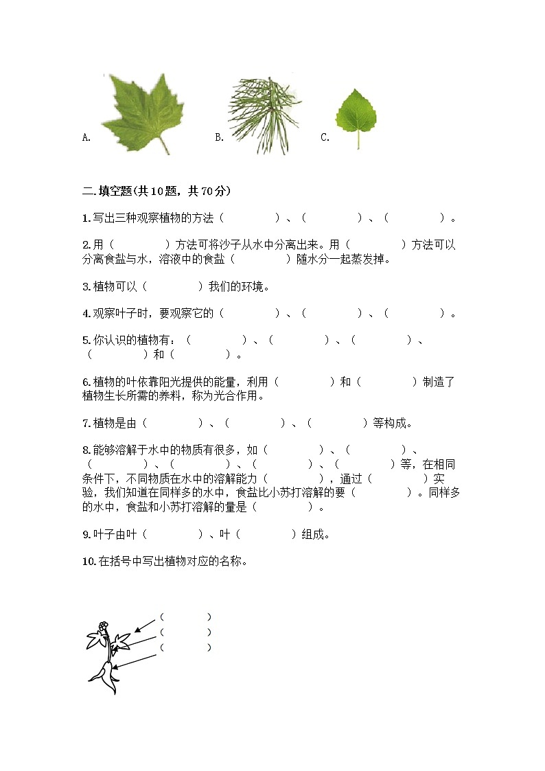 新教科版科学一年级上册第一单元 植物 测试卷精品（夺分金卷） (3)03