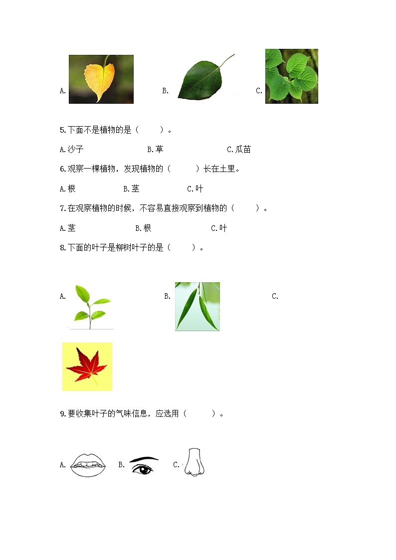 新教科版科学一年级上册第一单元《植物》测试卷及参考答案（轻巧夺冠）第2页