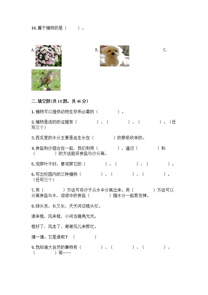 新教科版科学一年级上册第一单元《植物》测试卷及参考答案（轻巧夺冠）第3页