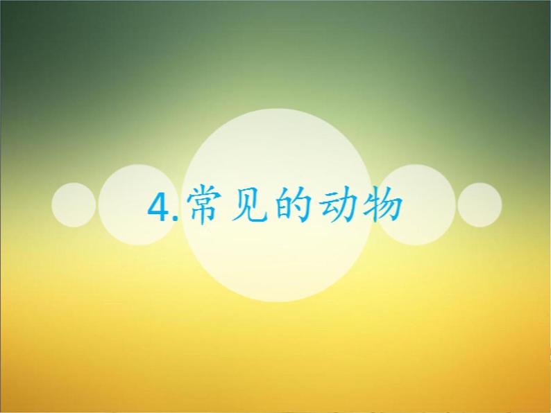 4.常见的动物j教学课件第4页