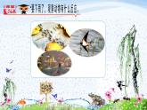 5.动物的反应教学课件