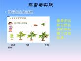 15.番茄与番茄酱教学课件