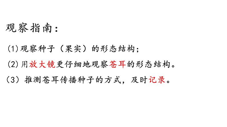 教科版科学四年级下册1-7《种子的传播》课件+教案+素材06