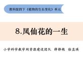 教科版科学四年级下册1-8《凤仙花的一生》课件+教案+素材