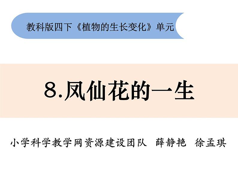 教科版科学四年级下册1-8《凤仙花的一生》课件+教案+素材01