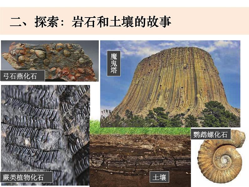 教科版科学四年级下册3-1《岩石和土壤的故事》课件+教案+素材05