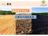 教科版科学四年级下册3-7《比较土壤的不同》课件+教案+素材