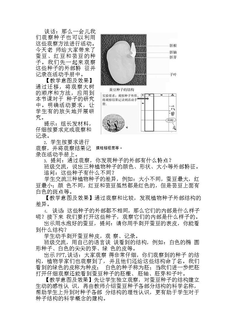 湘科版科学三年级下册 第1课 种子萌发 教案02