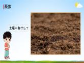 教科版四年级科学下册《观察土壤》课堂教学课件PPT