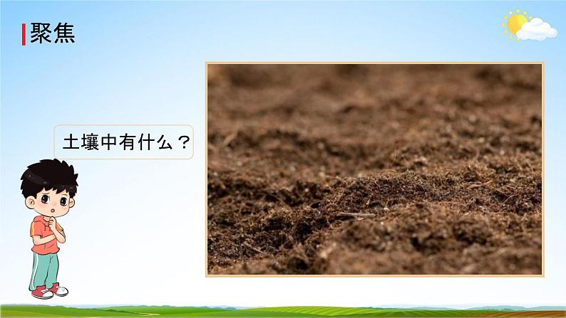 教科版四年级科学下册《观察土壤》课堂教学课件PPT第2页