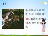 教科版四年级科学下册《观察土壤》课堂教学课件PPT