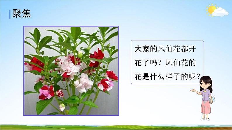 教科版四年级科学下册《凤仙花开花了》课堂教学课件PPT02