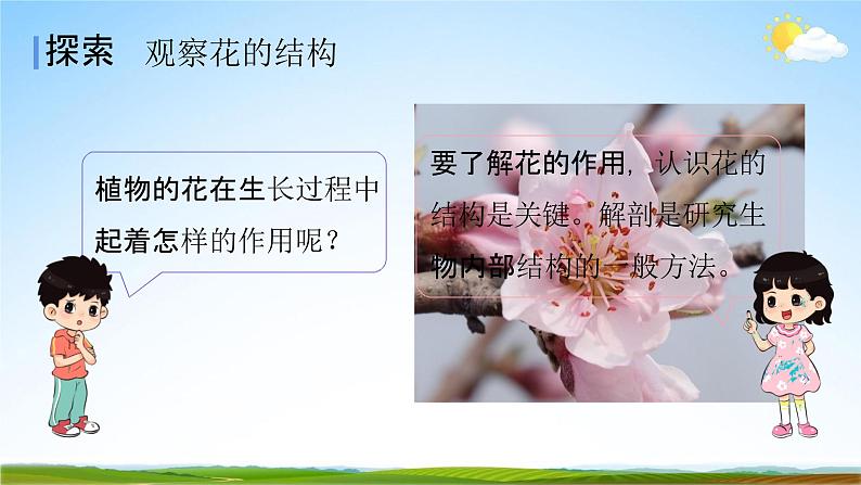 教科版四年级科学下册《凤仙花开花了》课堂教学课件PPT03