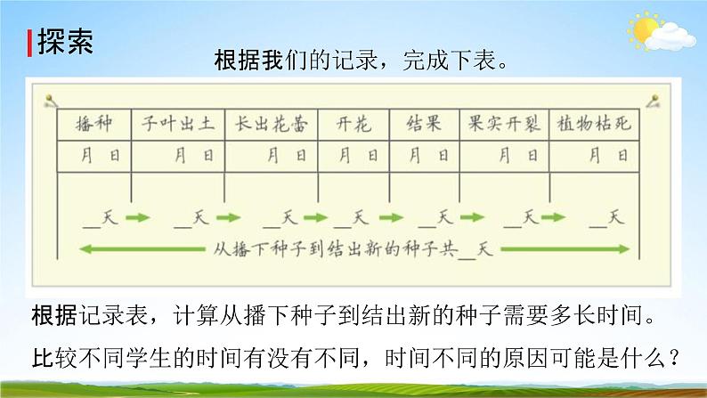 教科版四年级科学下册《凤仙花的一生》课堂教学课件PPT第6页