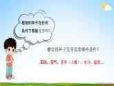 教科版五年级科学下册《种子发芽实验》课堂教学课件PPT