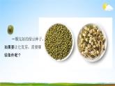 教科版五年级科学下册《种子发芽实验》课堂教学课件PPT