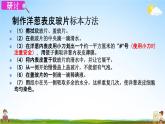 教科版六年级科学下册《用显微镜观察身边的生命世界（一）》授课教学课件PPT