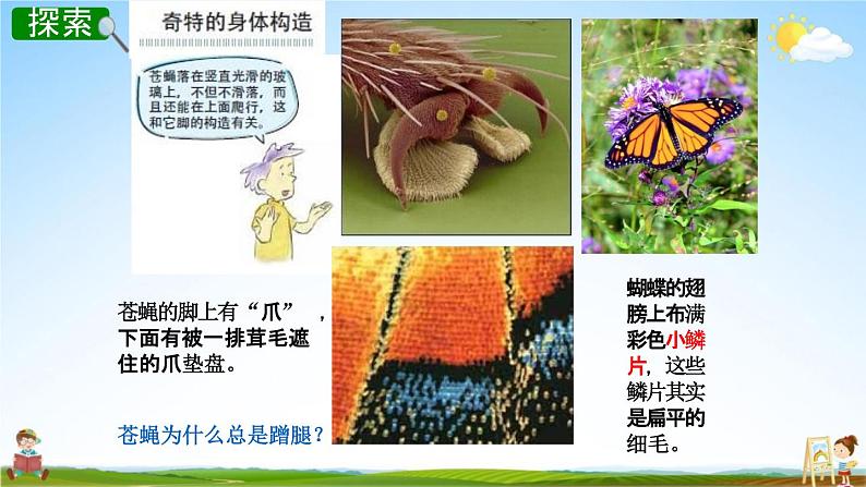 教科版六年级科学下册《放大镜下的昆虫世界》授课教学课件PPT第6页