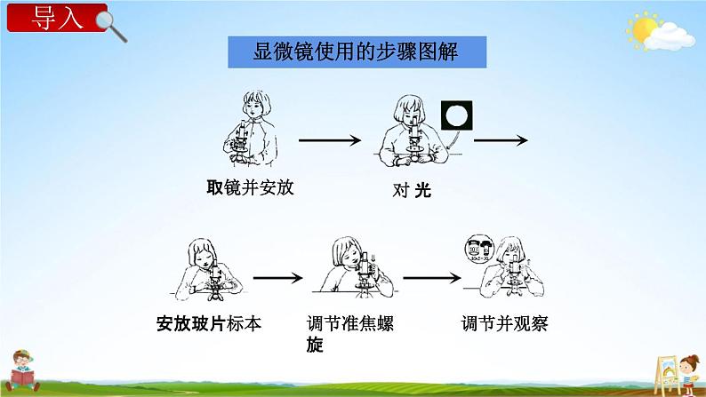 教科版六年级科学下册《用显微镜观察身边的生命世界（二）》授课教学课件PPT03