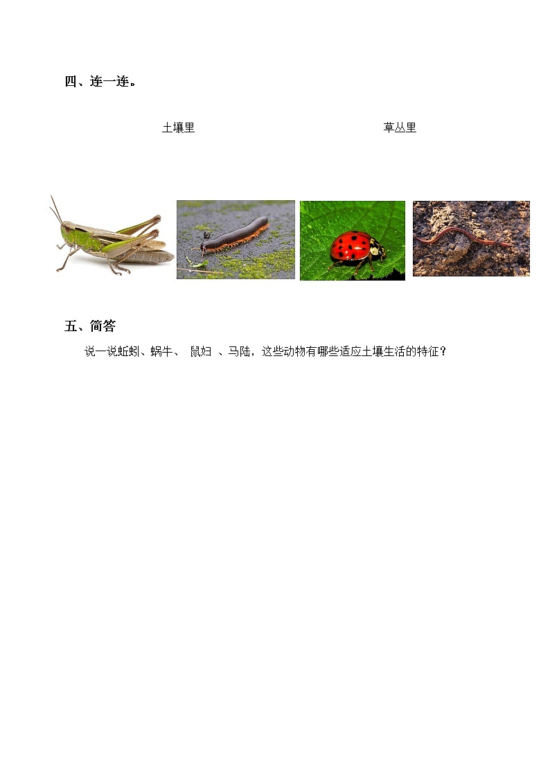 粤教版科学三上1.4《草丛里的小动物》同步练习第2页