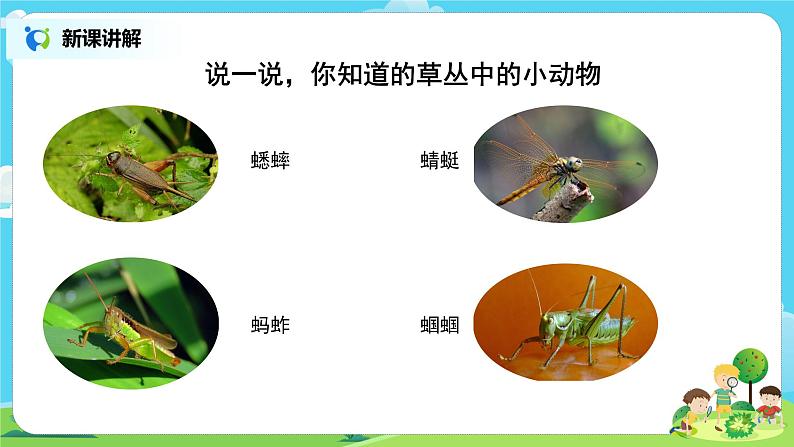 粤教版科学三上1.4《草丛里的小动物》课件第5页
