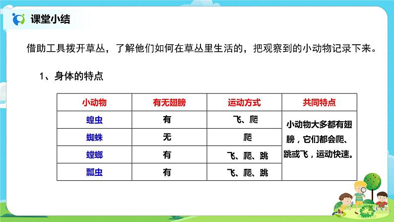 粤教版科学三上1.4《草丛里的小动物》课件第6页