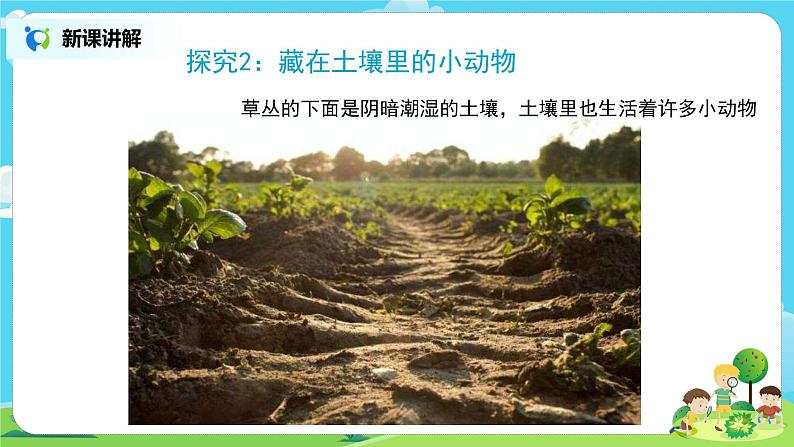 粤教版科学三上1.4《草丛里的小动物》课件第8页