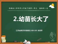 小学科学苏教版 (2017)三年级下册2 幼苗长大了说课课件ppt