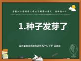 蘇教版三年級下冊科學(xué)1.種子發(fā)芽了（第一課時）課件+教案+素材+實驗記錄單