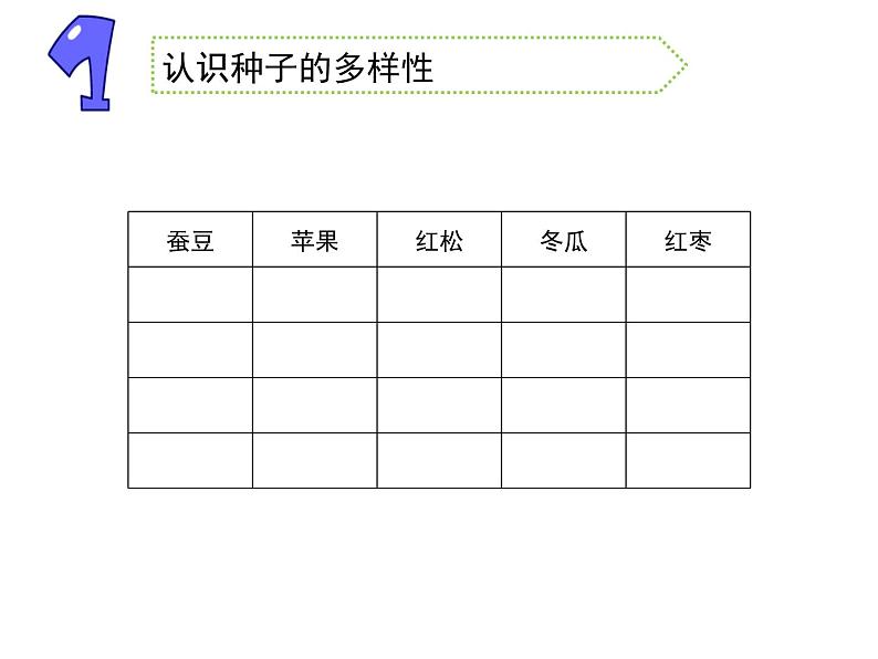 苏教版三年级下册科学1.种子发芽了（第一课时）课件+教案+素材+实验记录单03