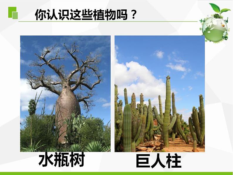 5.不同环境里的植物（江苏  陆新丽）第2页