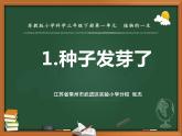 苏教版三年级下册科学1.种子发芽了 （第一课时）课件+教案+素材+实验记录单