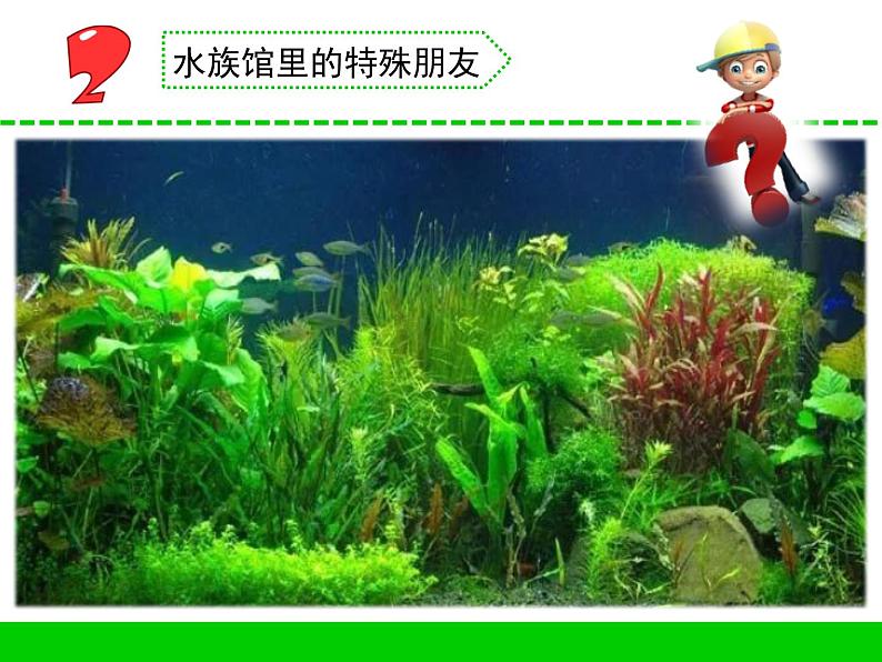 7.水里的植物（贵州  朱莎）第3页